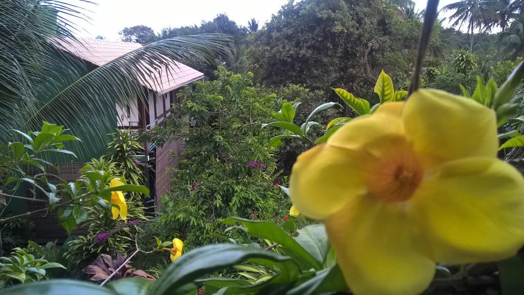Recanto Solar da Paz Velha Boipeba Exterior foto